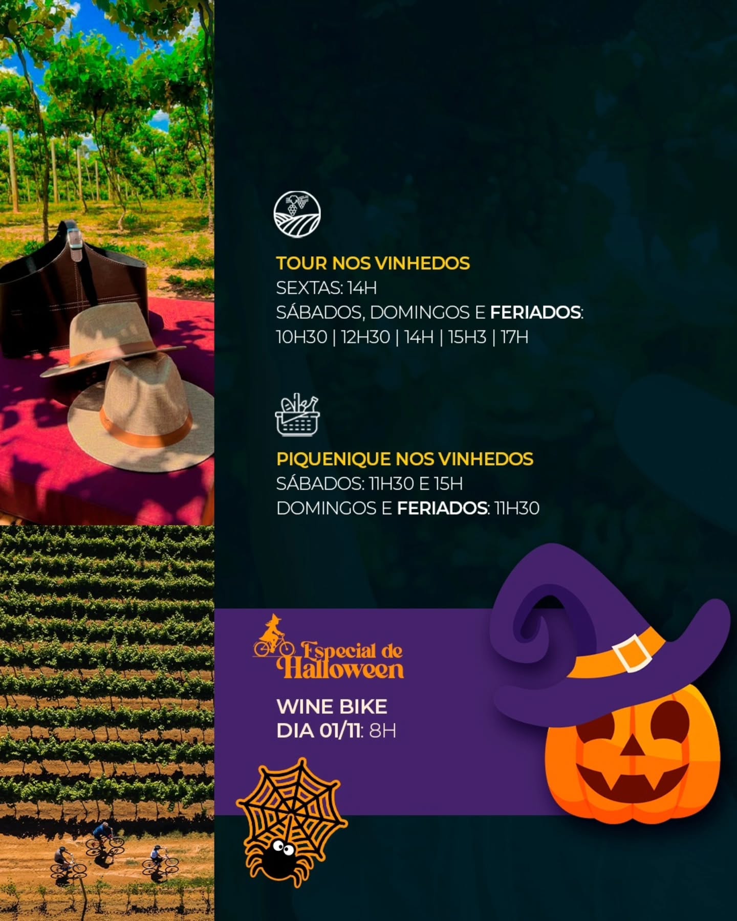 Wine Bike Especial de Halloween