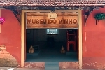 Museu do Vinho