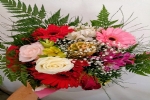Foto 11