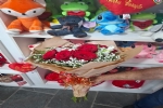 Foto 48