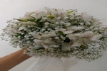 Foto 63
