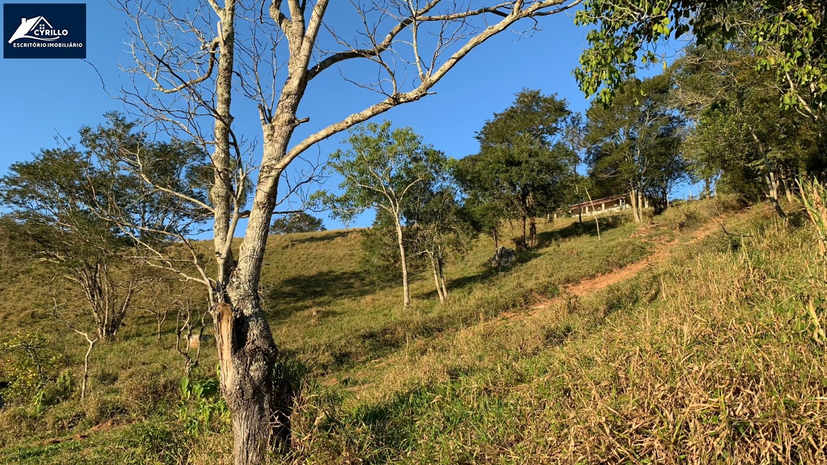 Sítio em São João Novo, São Roque - Foto 10