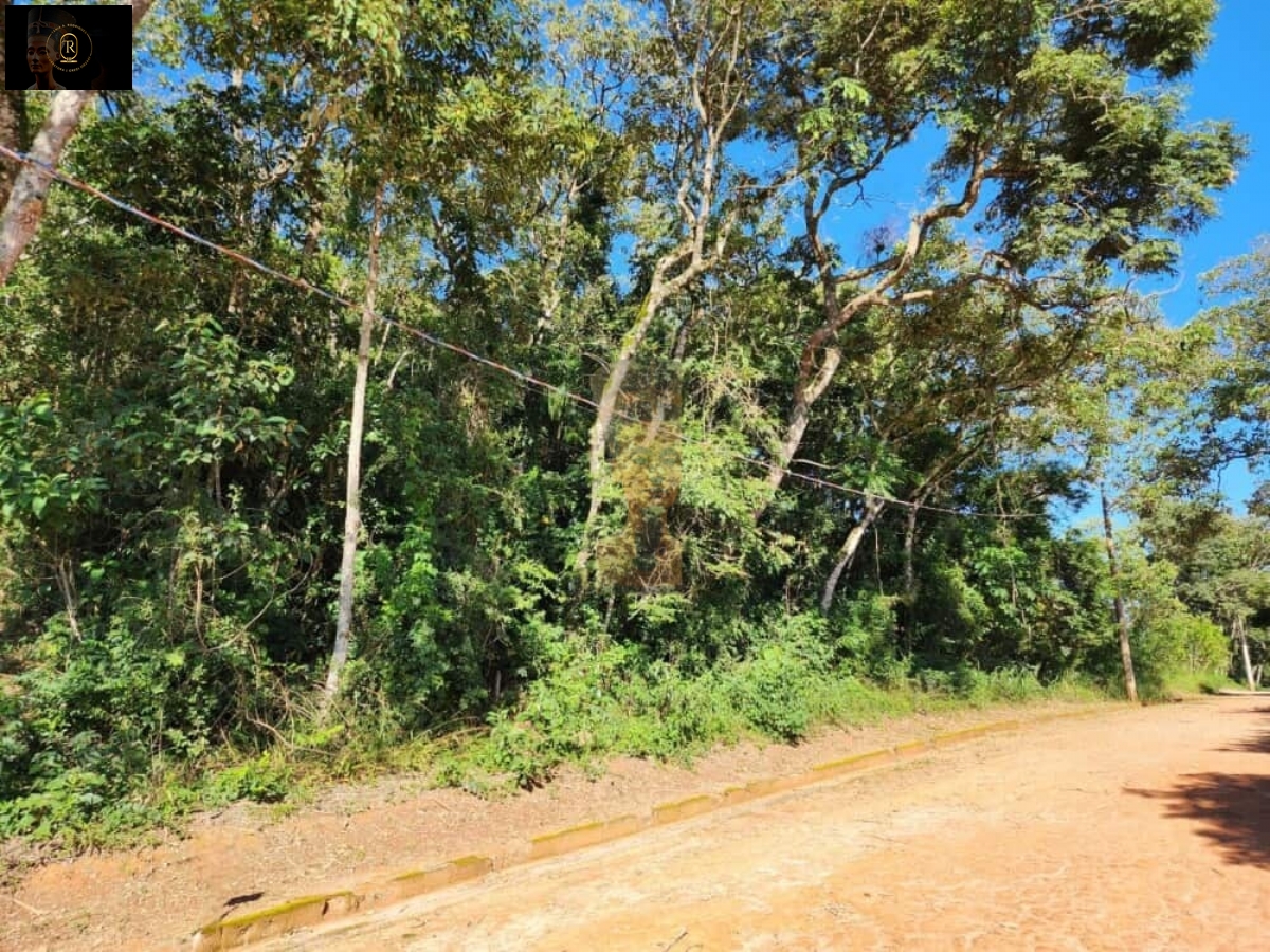 Terreno em Mailasqui, São Roque - Foto 11