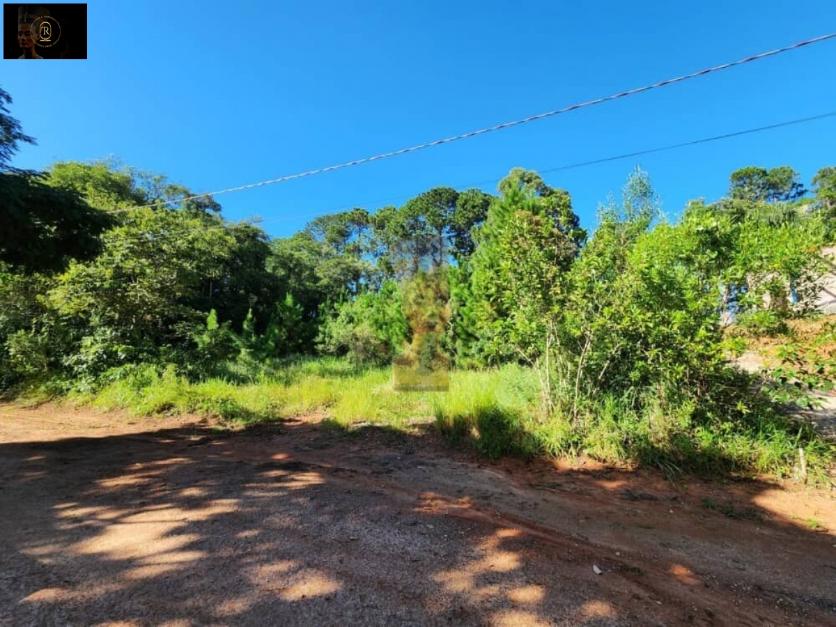 Terreno em Mailasqui, São Roque - Foto 12