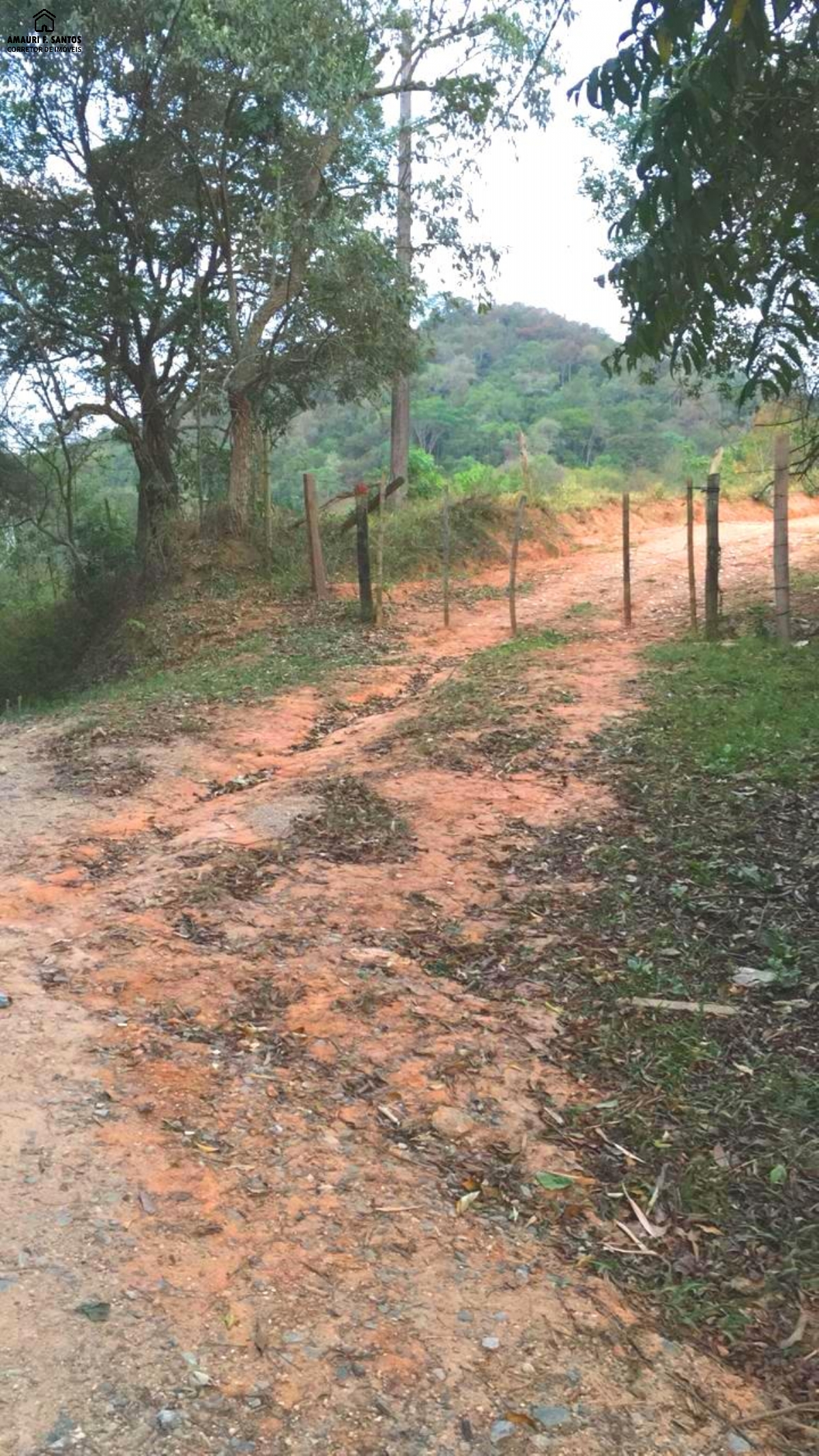 Sítio em , São Roque - Foto 11