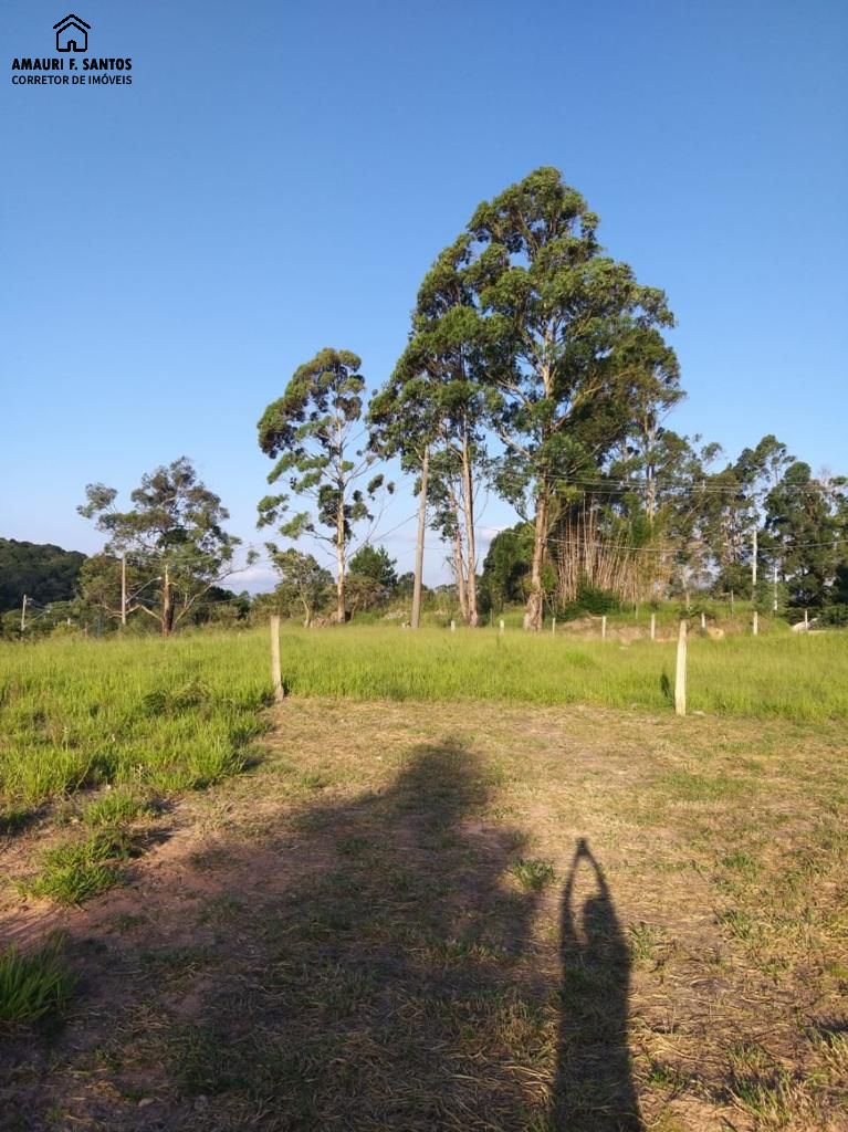 Terreno em , São Roque - Foto 5