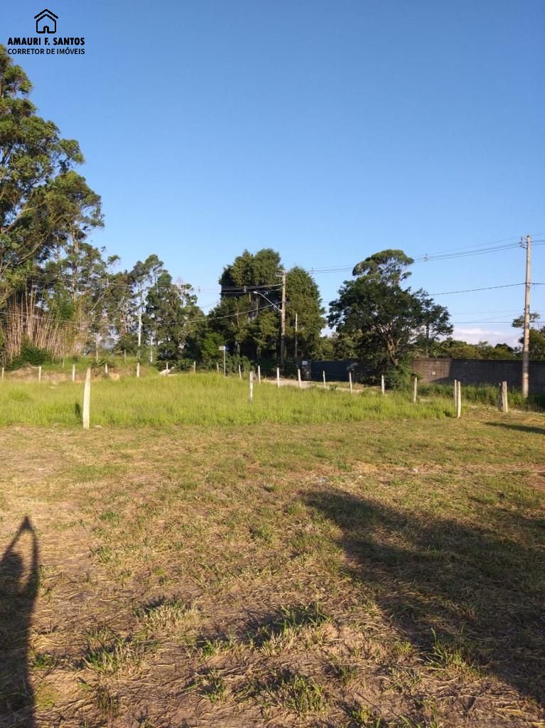 Terreno em , São Roque - Foto 6