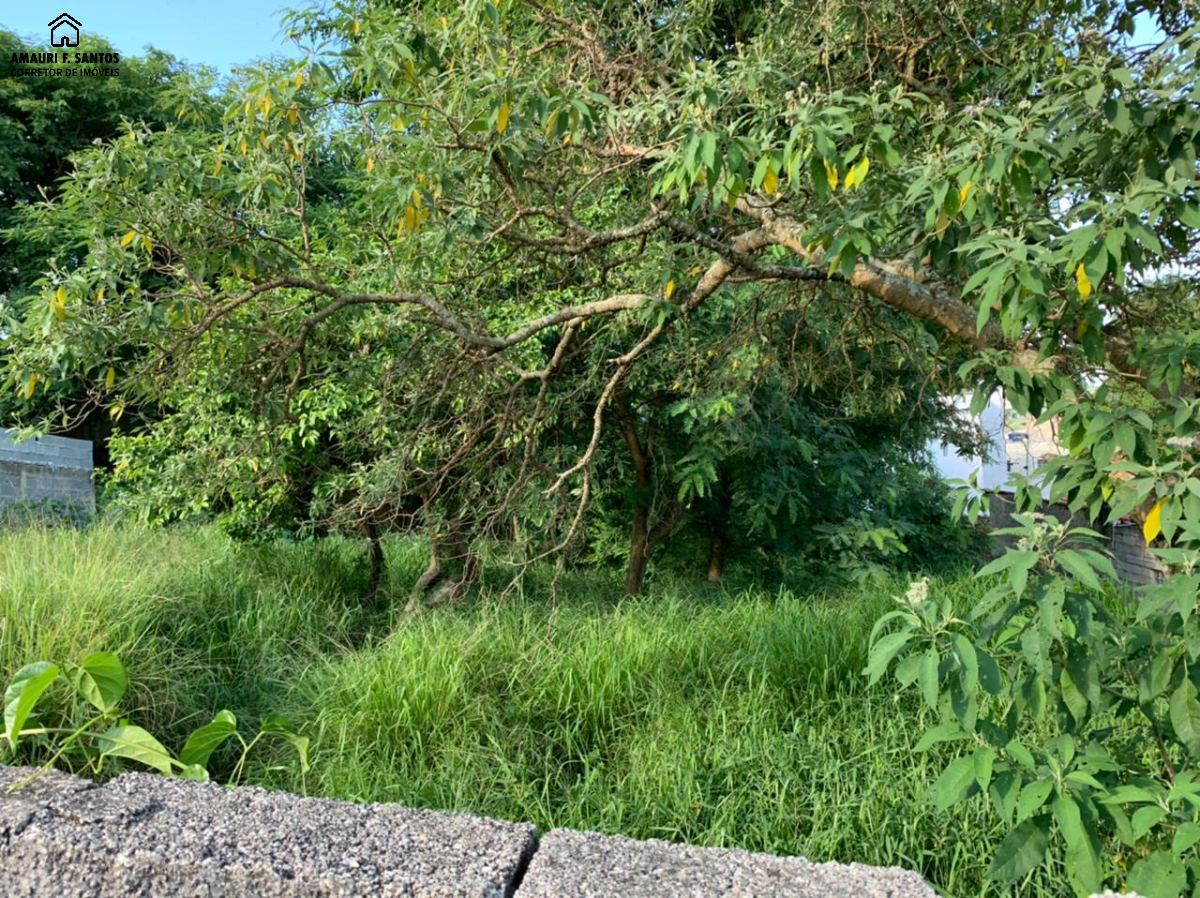 Terreno em , São Roque - Foto 4
