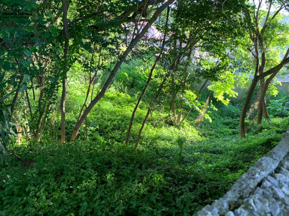 Terreno em , São Roque - Foto 5