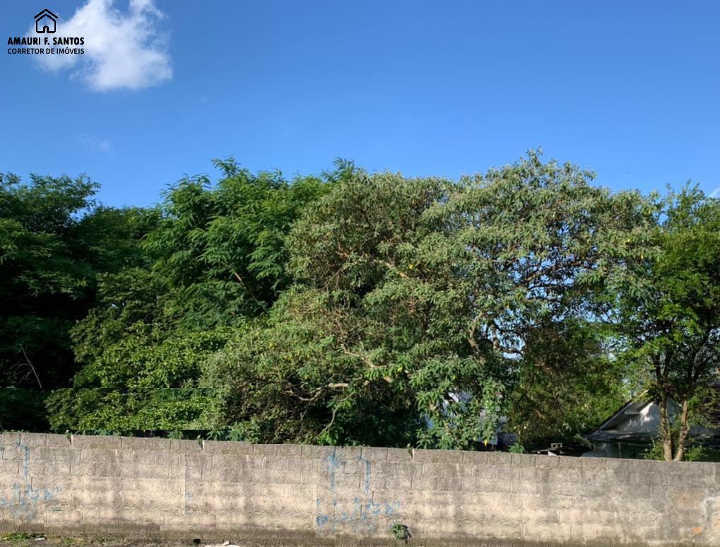 Terreno em , São Roque - Foto 2