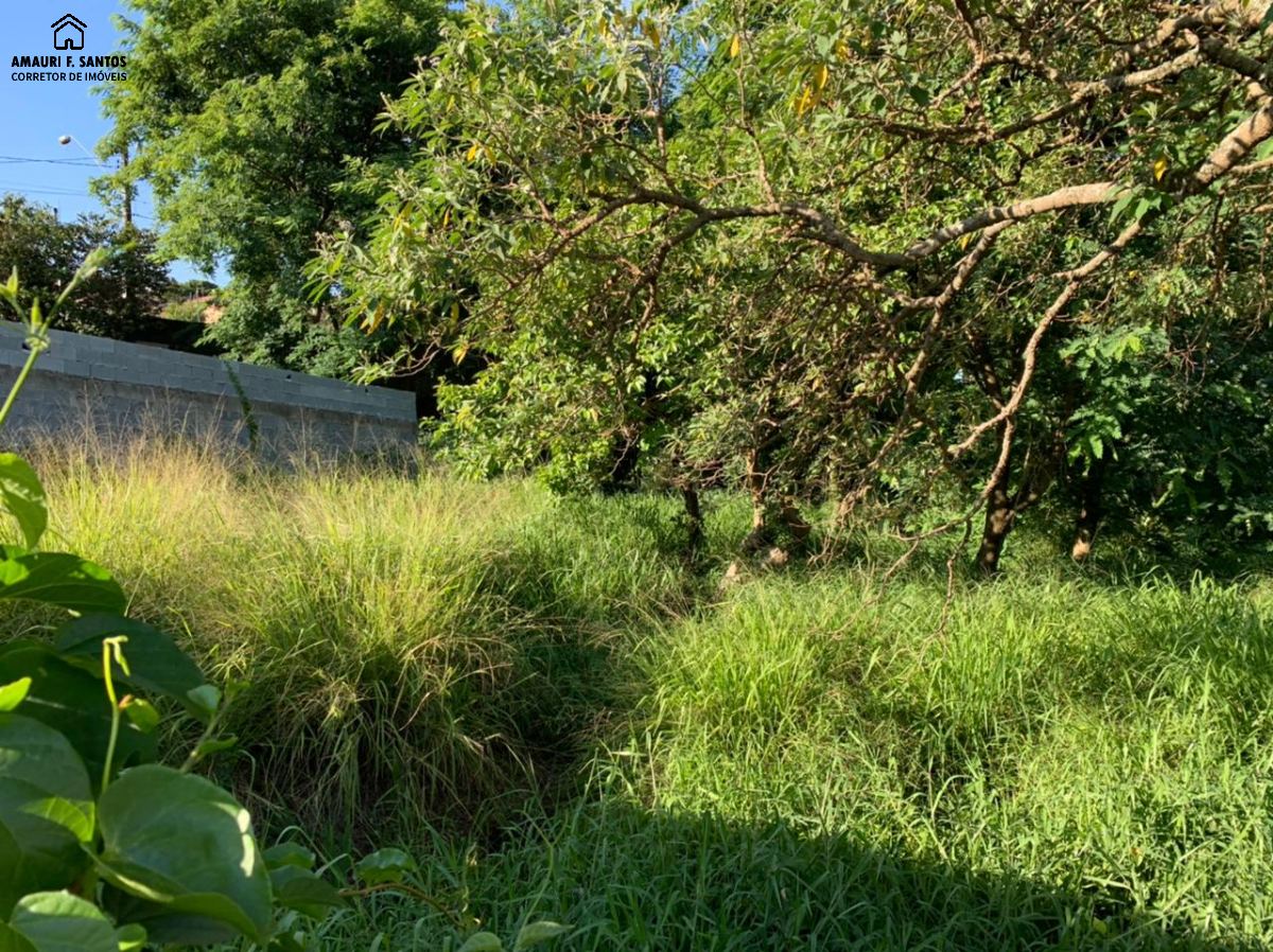 Terreno em , São Roque - Foto 7