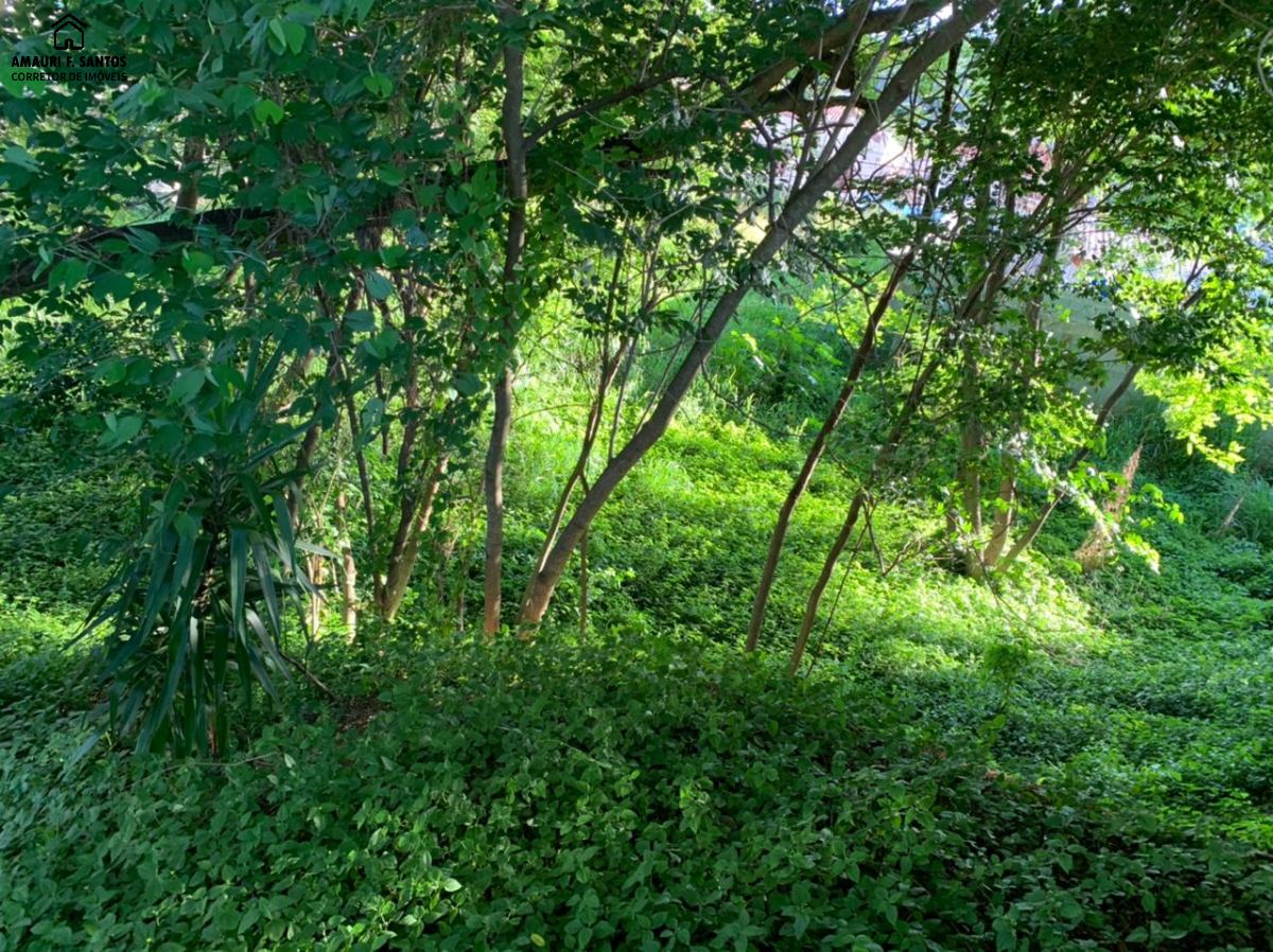 Terreno em , São Roque - Foto 6