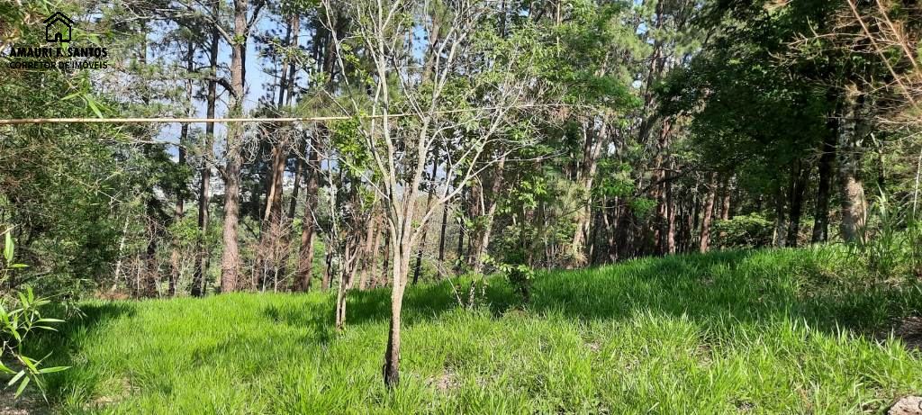 Terreno em , São Roque - 4.800m²  a 800metros do centro da cidad - Foto 1