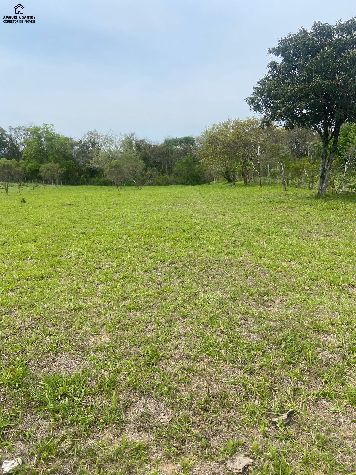 Terreno em , São Roque - Foto 4