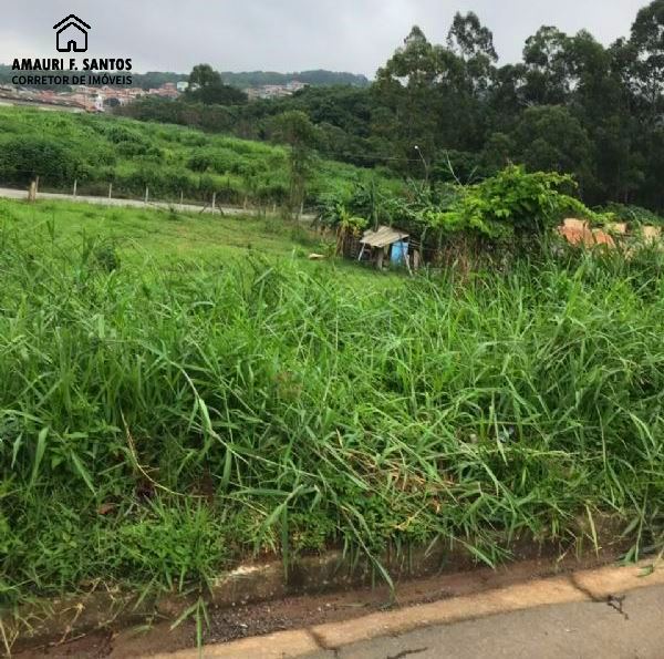 Terreno em , São Roque - Foto 4