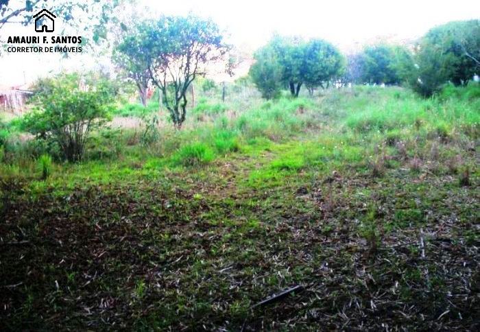 Terreno em , São Roque - Foto 4