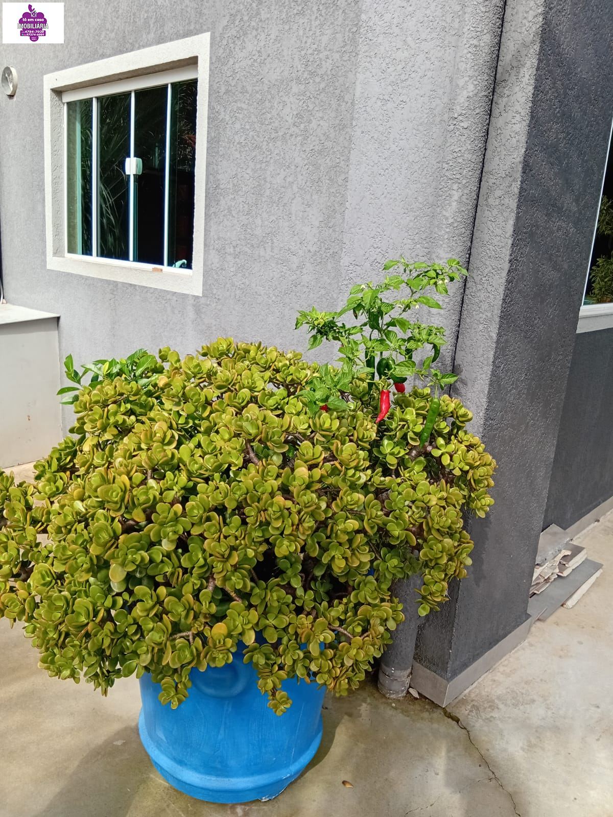 Casa em Planalto Verde, São Roque - Casa de Alto Padrão em São Roque - Foto 49