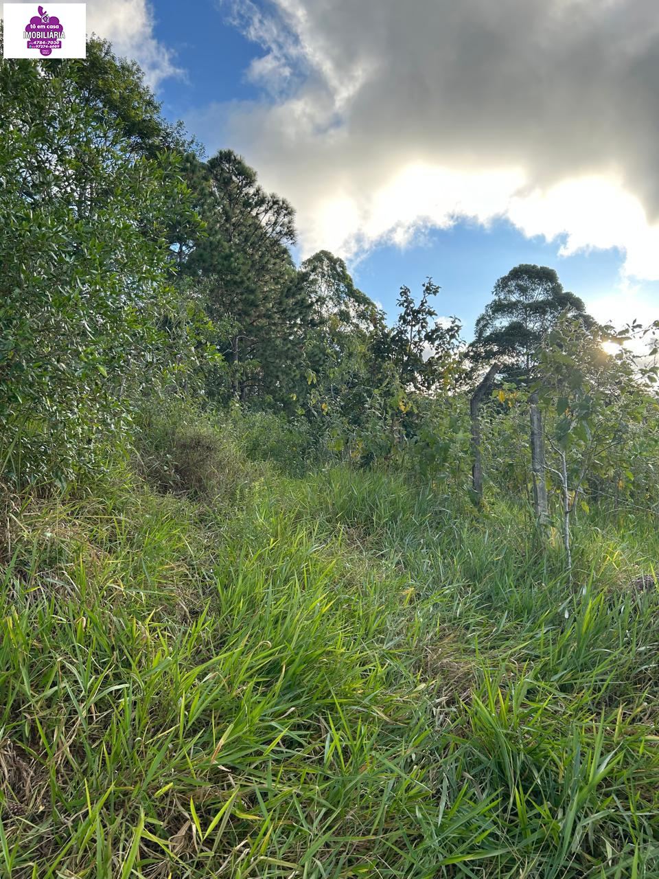 Terreno em Jardim Suíça Paulista, São Roque - Terreno à Venda Bairro Jardim Suiça - Foto 3