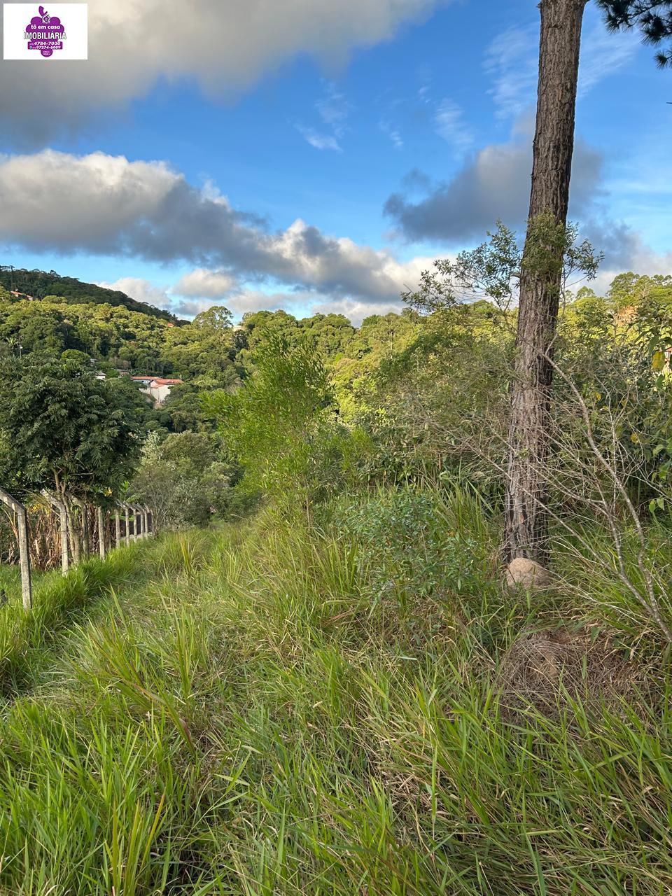Terreno em Jardim Suíça Paulista, São Roque - Terreno à Venda Bairro Jardim Suiça - Foto 2
