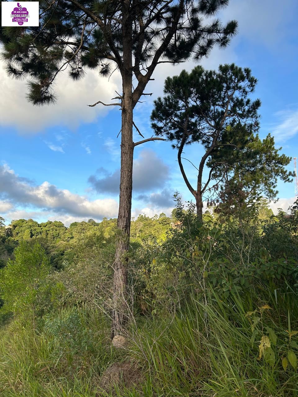 Terreno em Jardim Suíça Paulista, São Roque - Foto 4