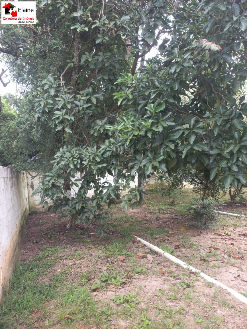 Chácara em Jardim Suíça Paulista, São Roque - Foto 9