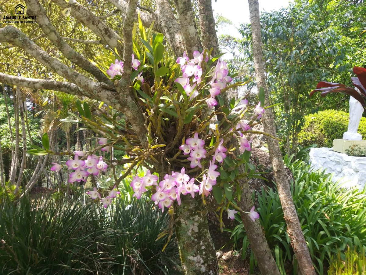 Chácara em , São Roque - Foto 10