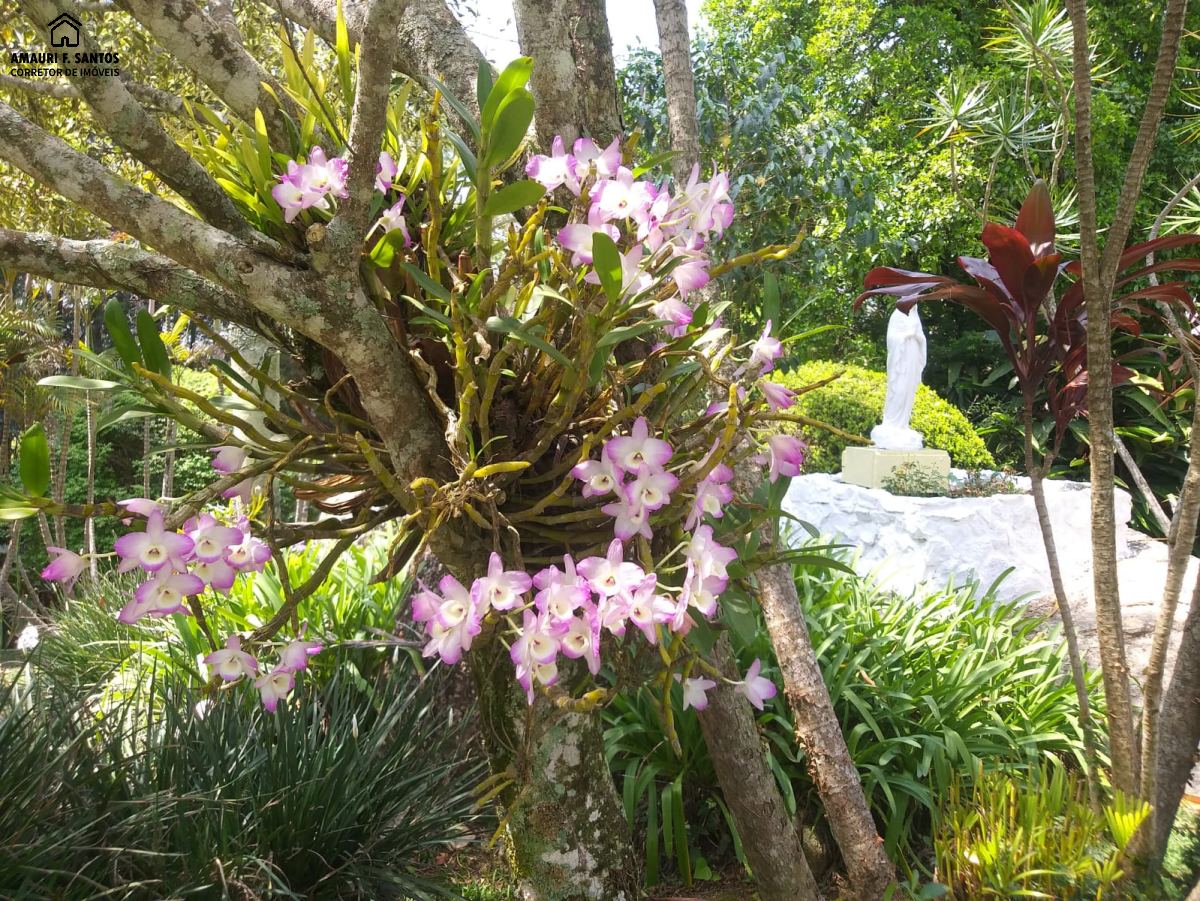 Chácara em , São Roque - Foto 11