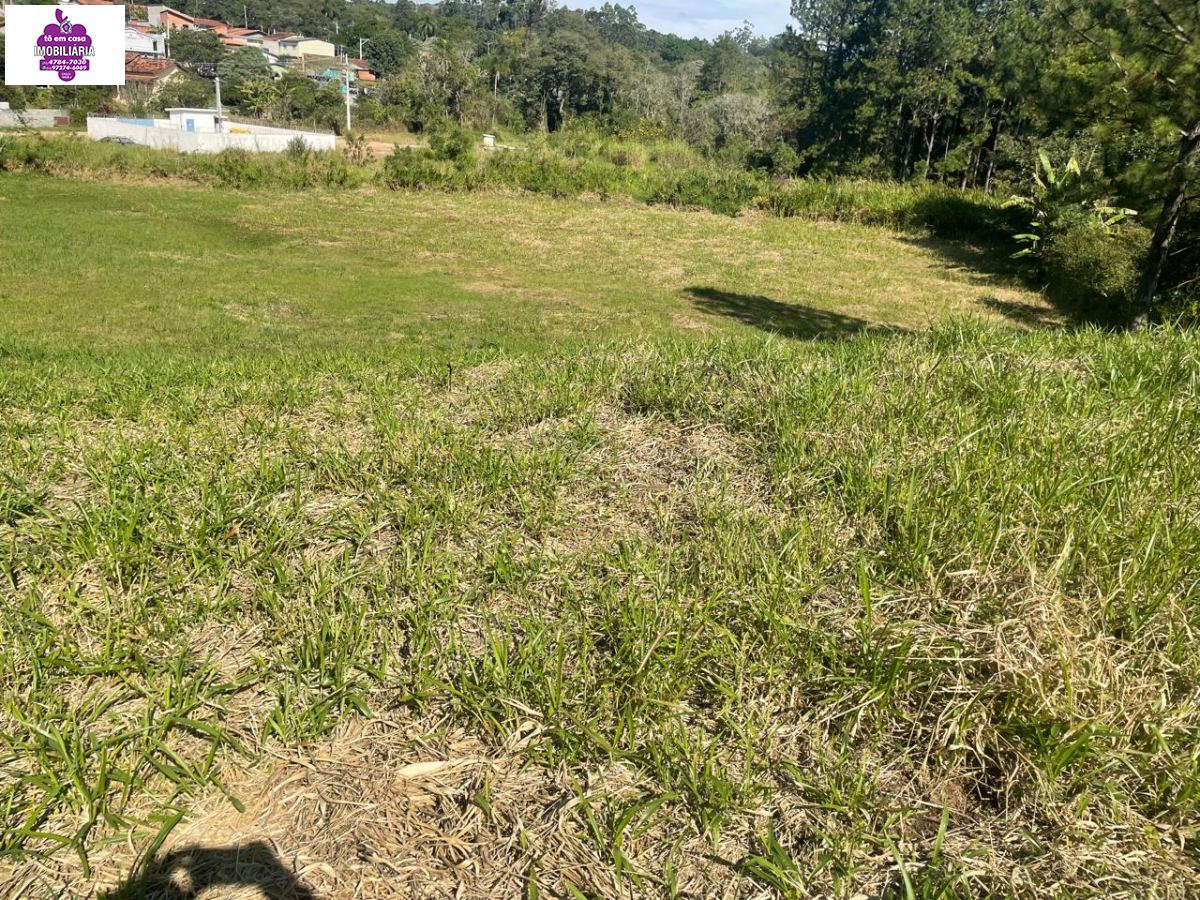 Terreno em , São Roque - Terreno à venda, bairro Campininha - Foto 2
