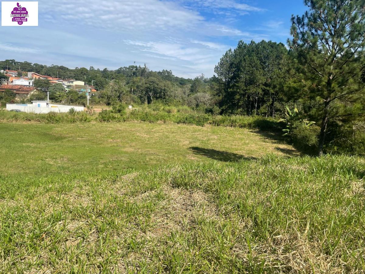 Terreno em , São Roque - Foto 7