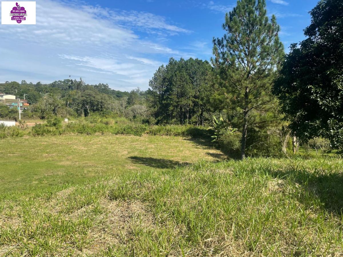 Terreno em , São Roque - Terreno à venda, bairro Campininha - Foto 3