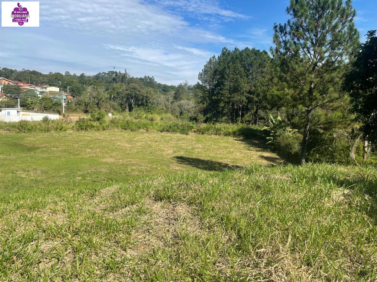 Terreno em , São Roque - Foto 4