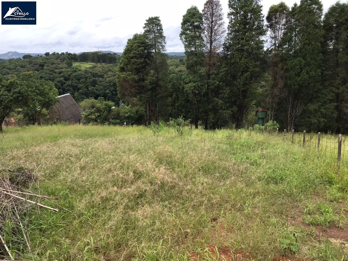 Terreno em Vinhedos, São Roque - Foto 11