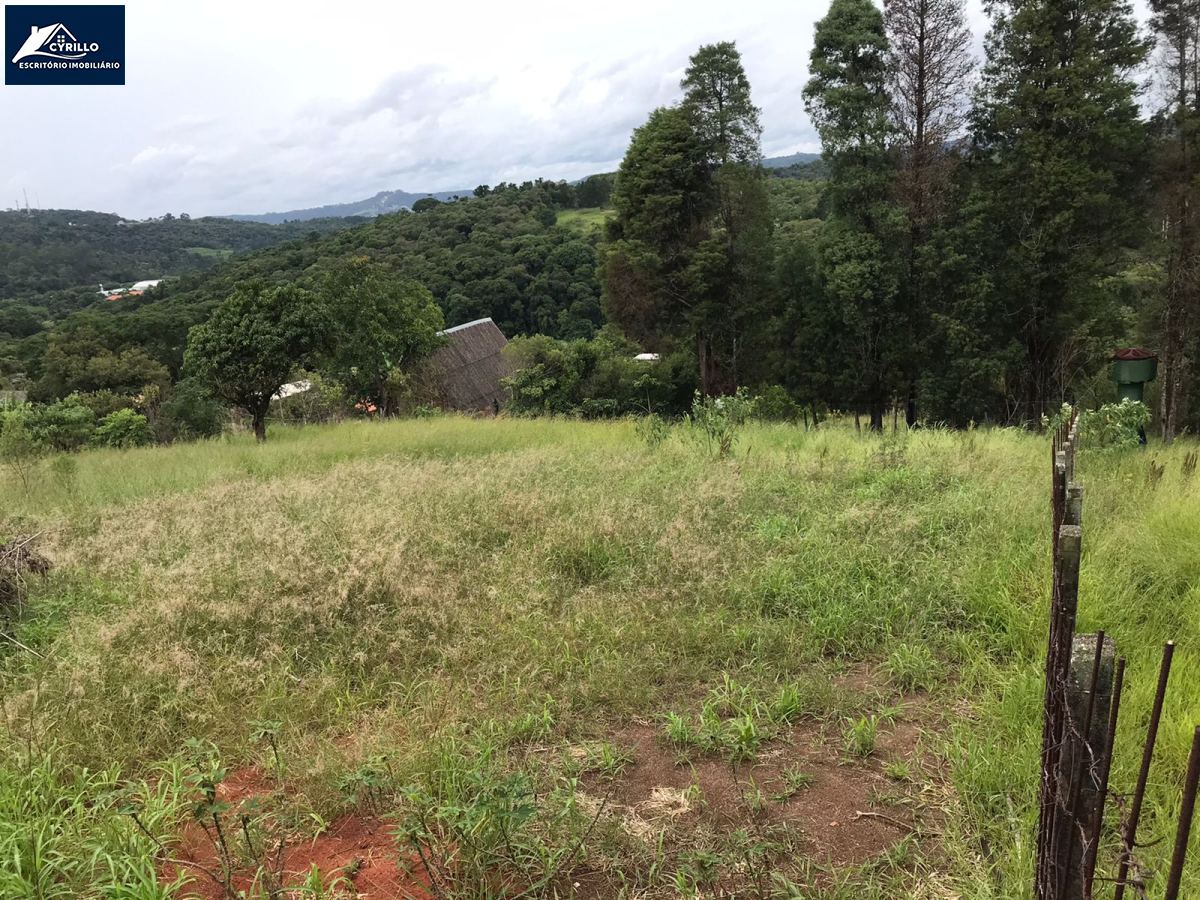 Terreno em Vinhedos, São Roque - Foto 7