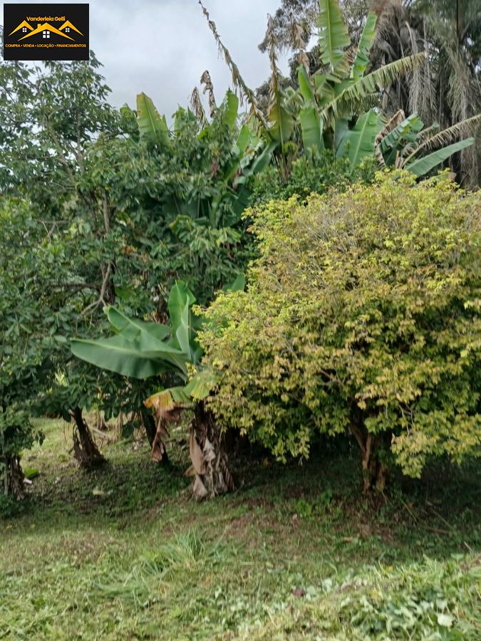 Chácara em Alto da Serra (Mailasqui), São Roque - Foto 23