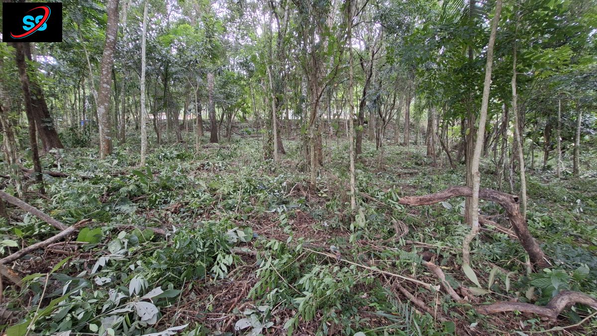 Terreno em Planalto Verde, São Roque - Foto 8