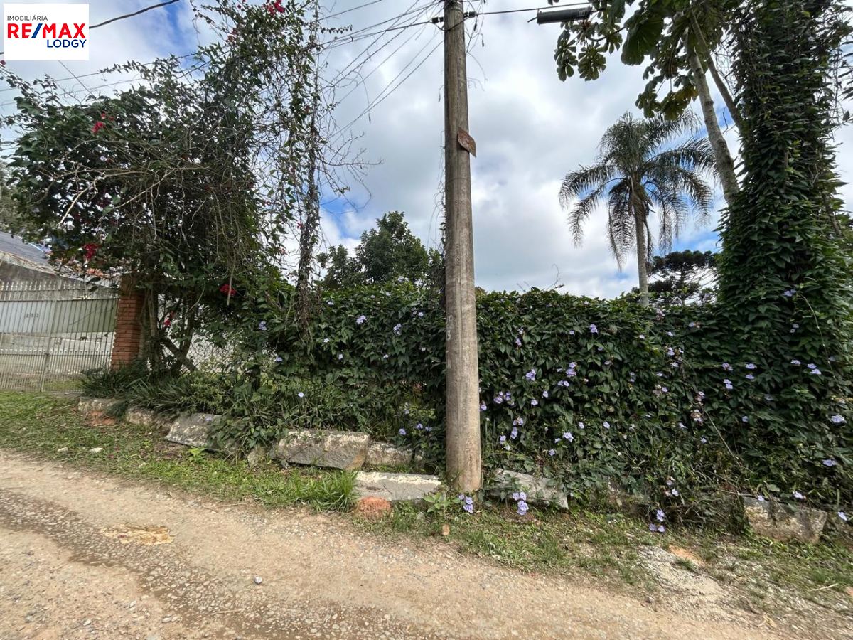 Chácara em Alto da Serra (Mailasqui), São Roque - Foto 76