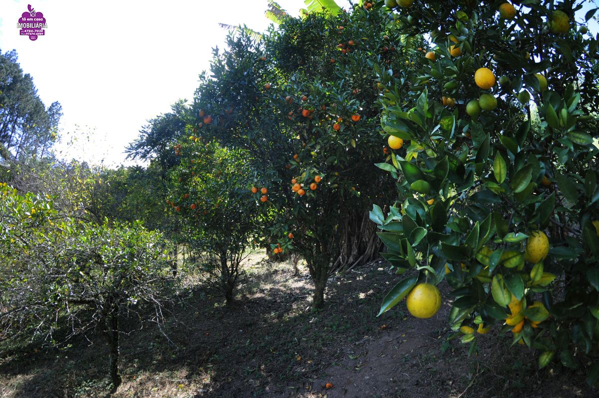 Casa em Centro (Mailasqui), São Roque - Casa Térrea Nova à Venda - Foto 71