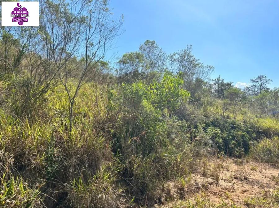 Terreno em Saboó, São Roque - Terreno à Venda em Loteamento Fechado - Foto 3