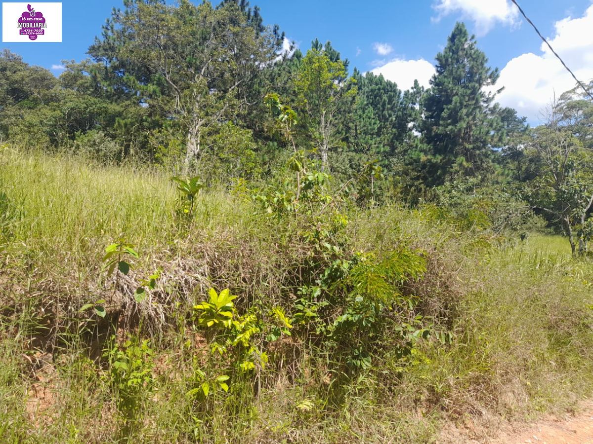 Terreno em Centro (Mailasqui), São Roque - Terreno a Venda em Mailasqui - Foto 2