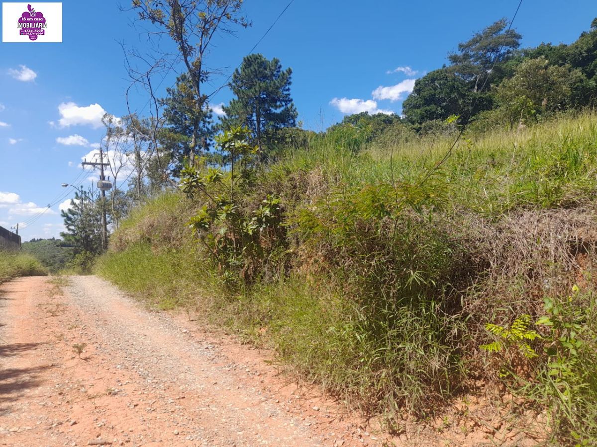 Terreno em Centro (Mailasqui), São Roque - Terreno a Venda em Mailasqui - Foto 3