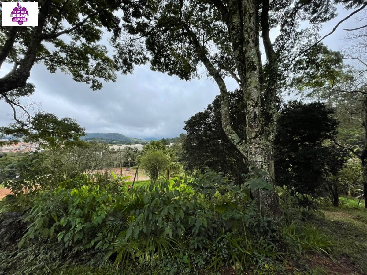 Chácara em Bairro do Cambará, São Roque - Foto 7