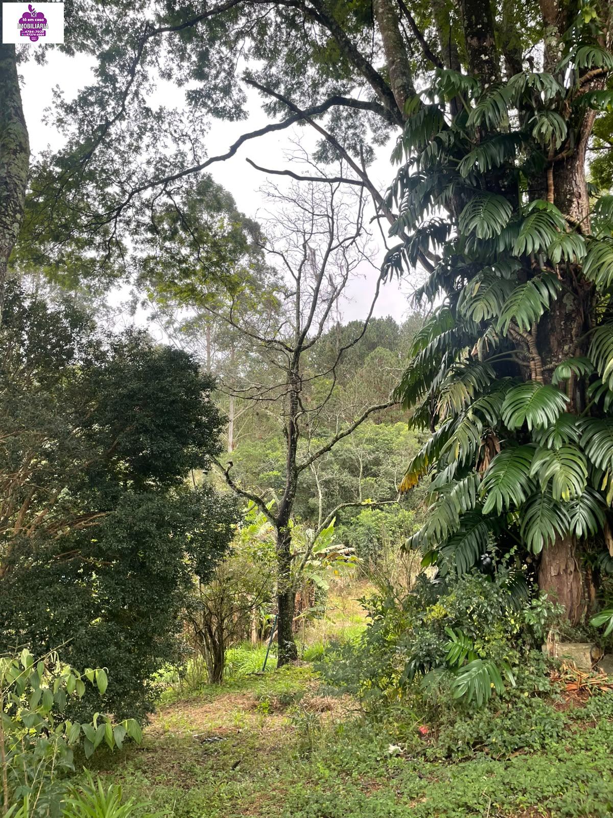 Chácara em Bairro do Cambará, São Roque - Foto 10