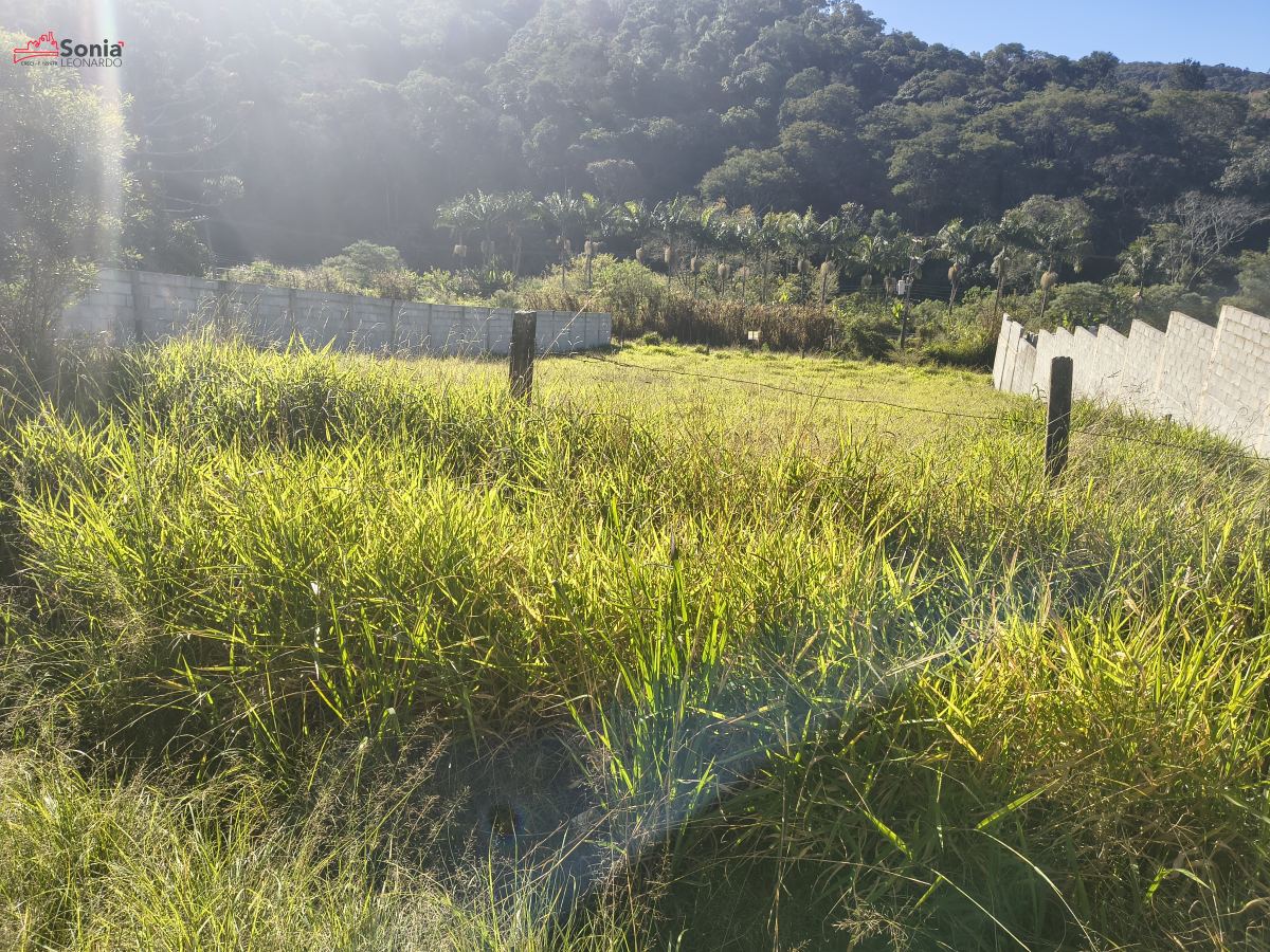 Terreno em Vinhedos, São Roque - TERRENO para venda - Quintino de Lima - Foto 2