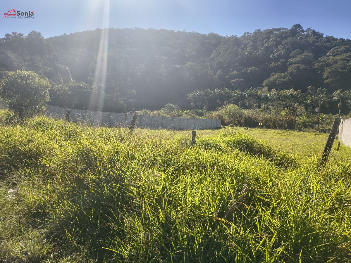 Terreno em Vinhedos, São Roque - TERRENO para venda - Quintino de Lima - Foto 3