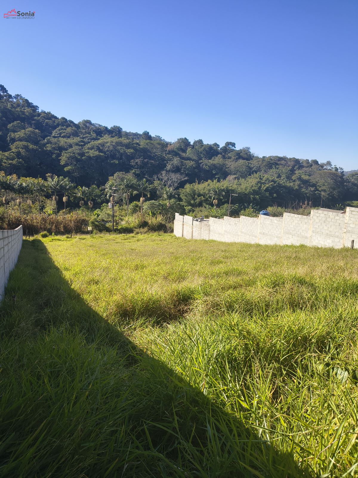 Terreno em Vinhedos, São Roque - Foto 4