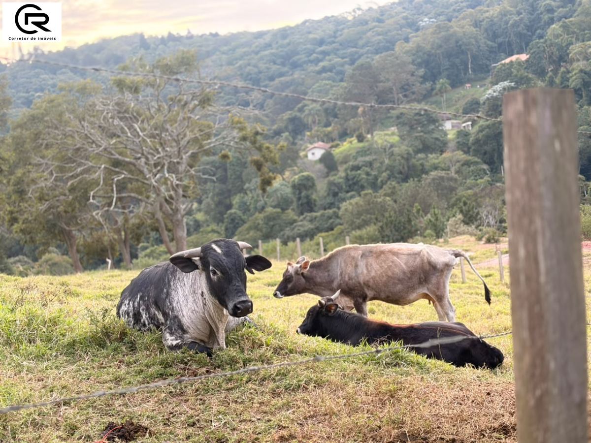 Sítio em Sorocamirim, São Roque - Foto 12