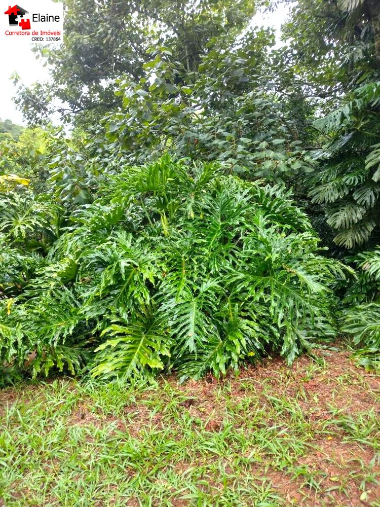 Chácara em Mailasqui, São Roque - sitio tão tão pertinho - Foto 13