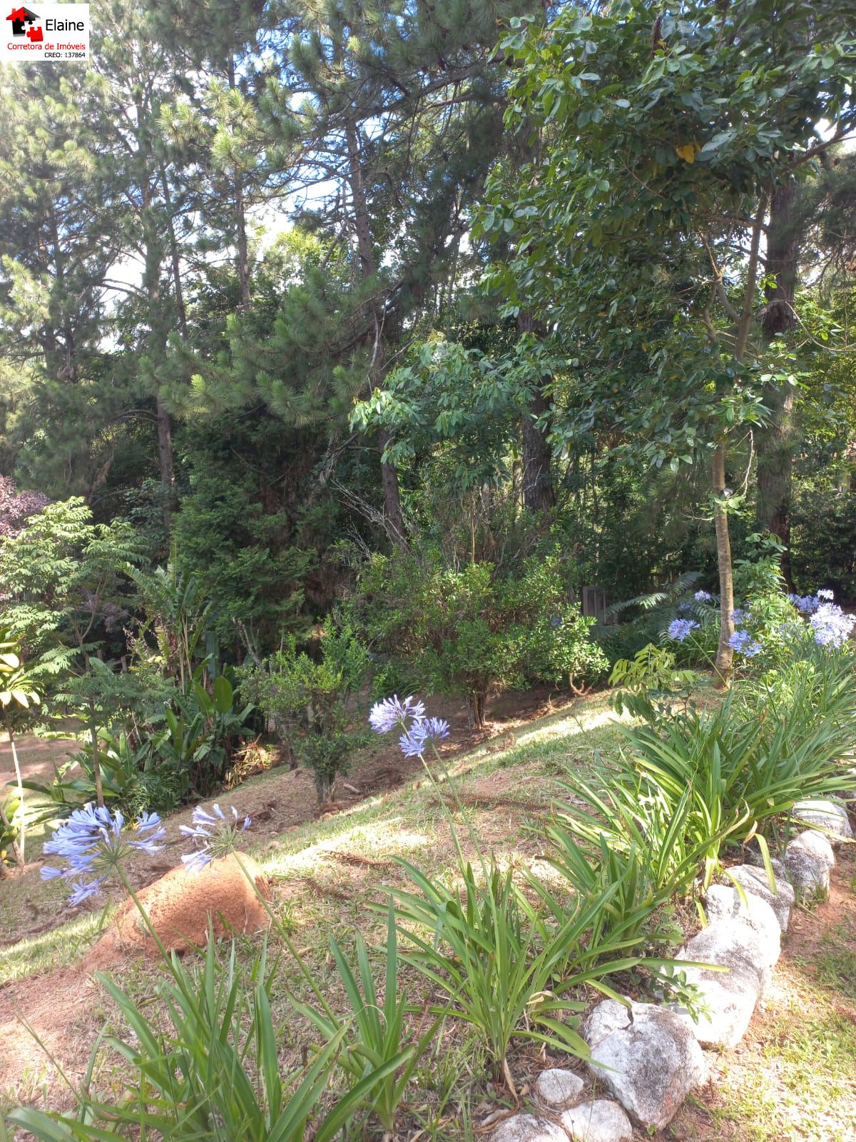 Chácara em Mailasqui, São Roque - sitio tão tão pertinho - Foto 16
