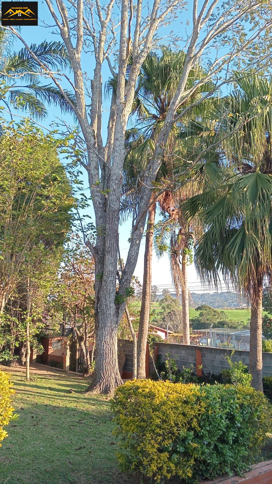 Chácara em Canguera, São Roque - Chácara maravilhosa a venda - Foto 3