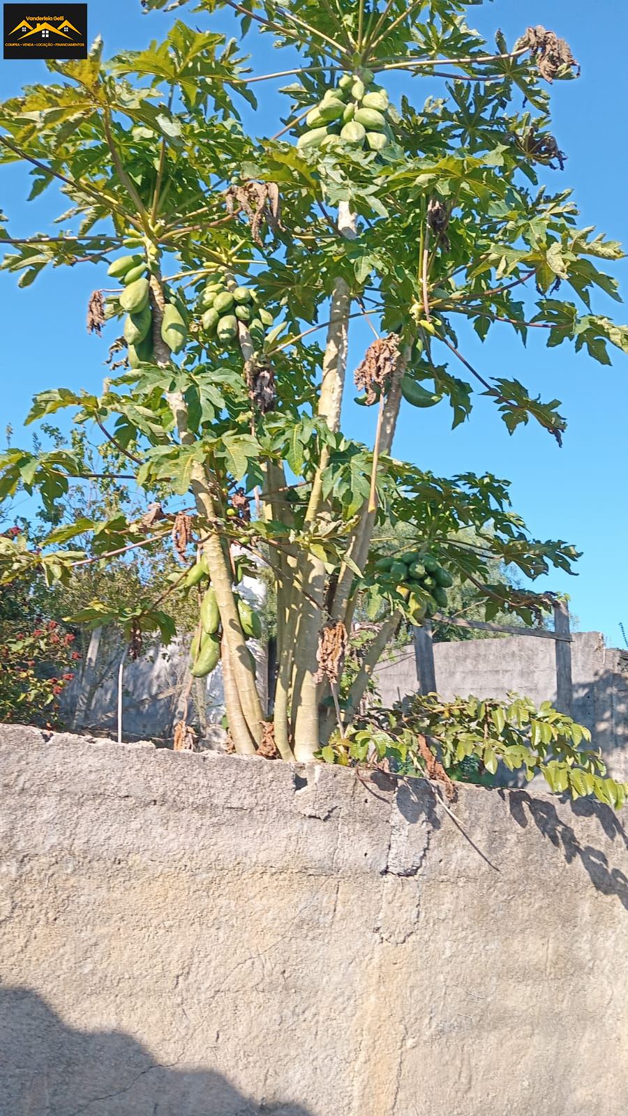 Chácara em Canguera, São Roque - Foto 15
